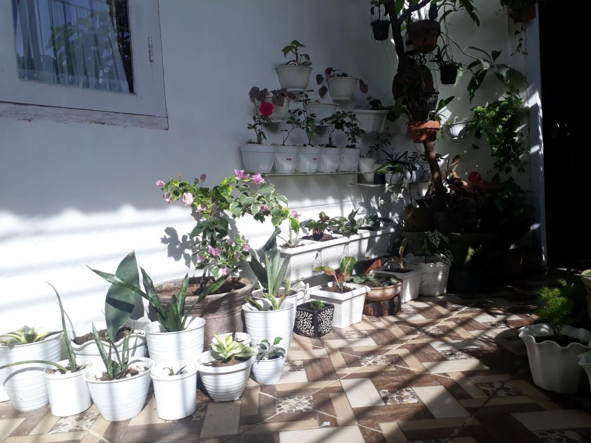 Bumimi Homestay Painan Εξωτερικό φωτογραφία