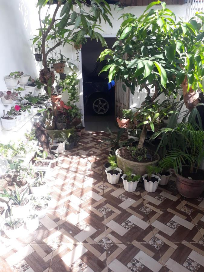 Bumimi Homestay Painan Εξωτερικό φωτογραφία