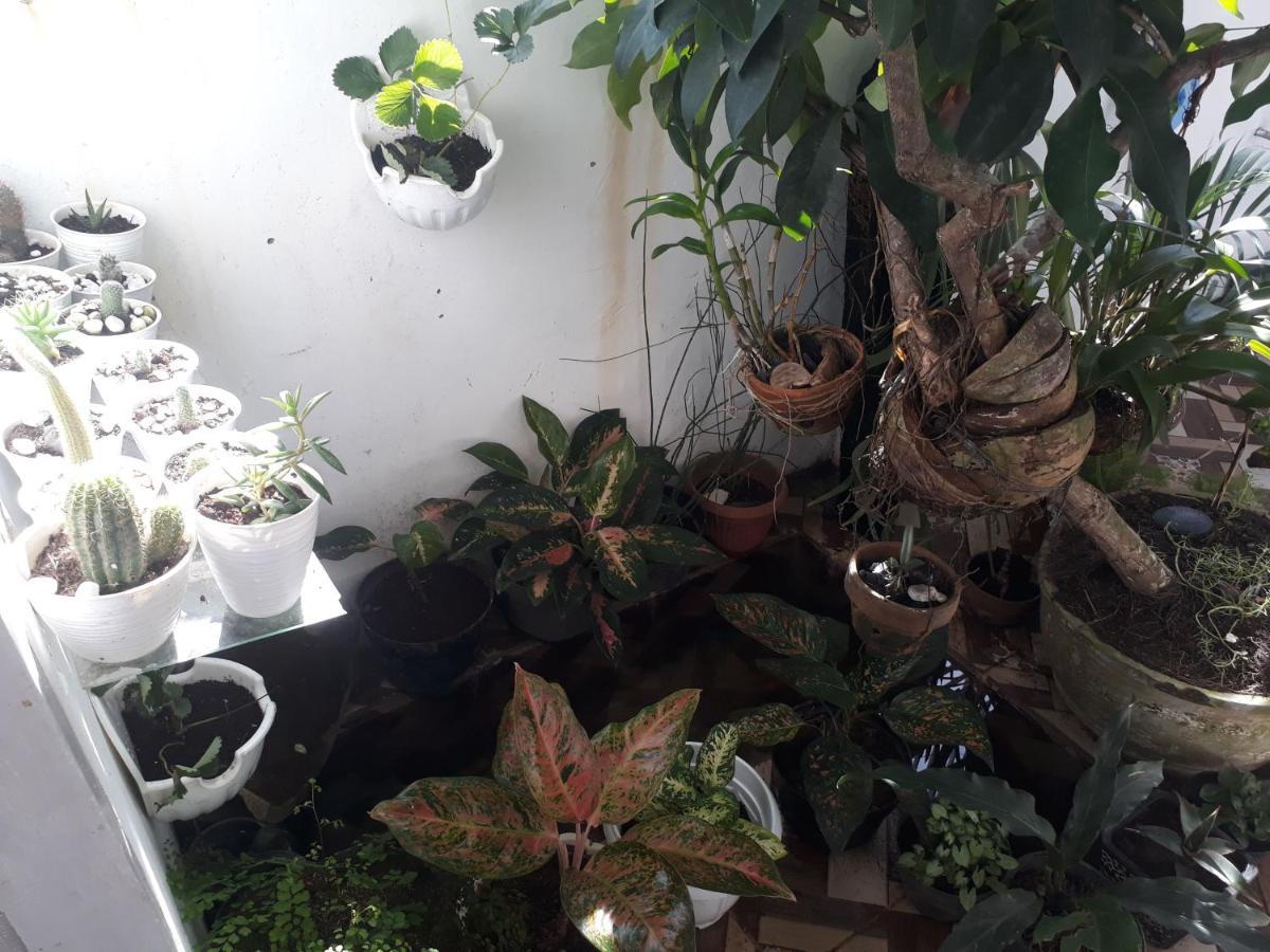 Bumimi Homestay Painan Εξωτερικό φωτογραφία